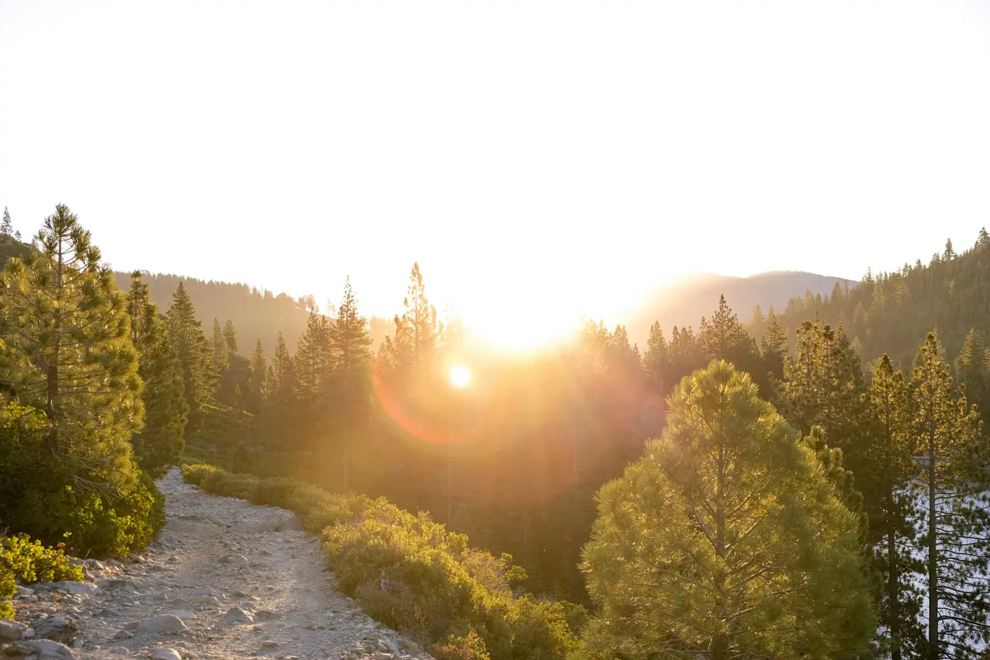 Sunrise breaking through trees over a forest trail